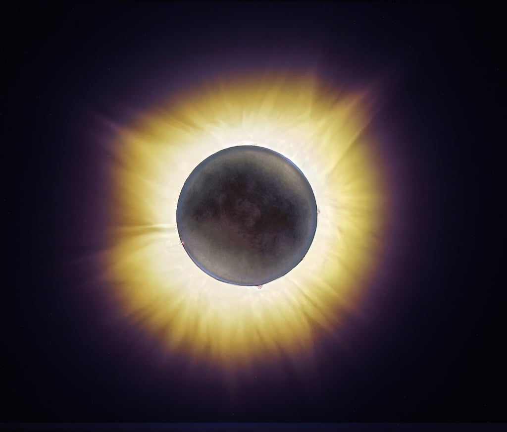 The Moment the World Went Still