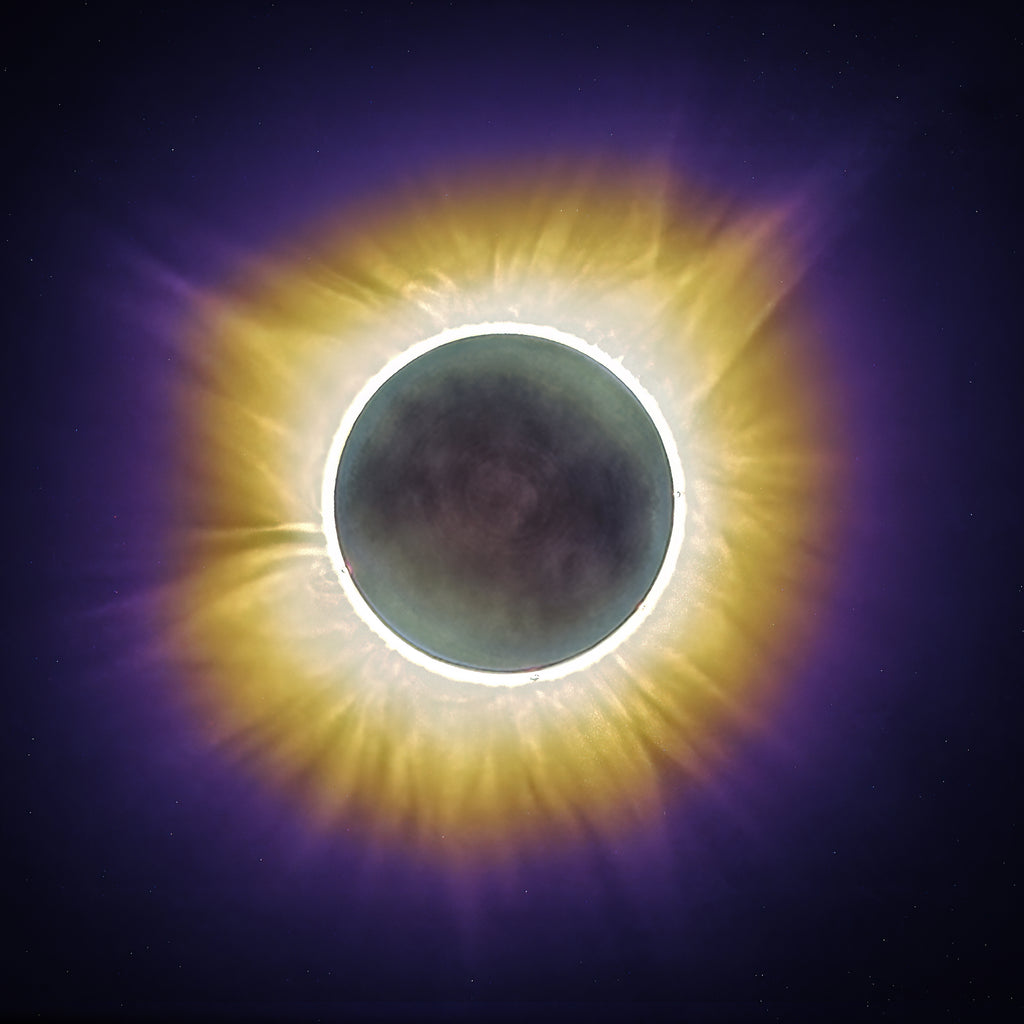 Total solar eclipse on April 8, 2024 during totality, revealing the Sun's corona and solar prominences 